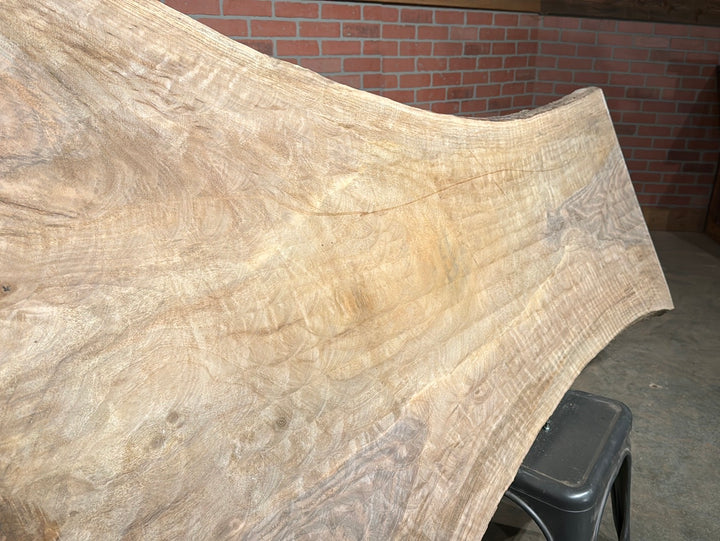 Bastogne / Paradox Black Walnut Live Edge Slab 2.125"T x 23"W to 45"W x 80"L # CY71768D