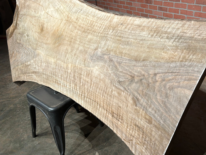 Bastogne / Paradox Black Walnut Live Edge Slab 2.125"T x 23"W to 45"W x 80"L # CY71768D