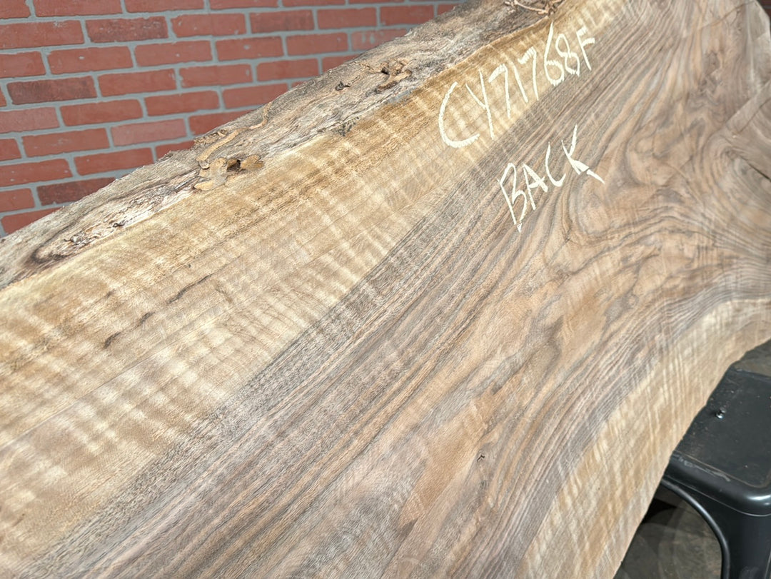 Bastogne / Paradox Black Walnut Live Edge Slab 2.125"T x 29"W to 40"W x 80"L #CY71768F