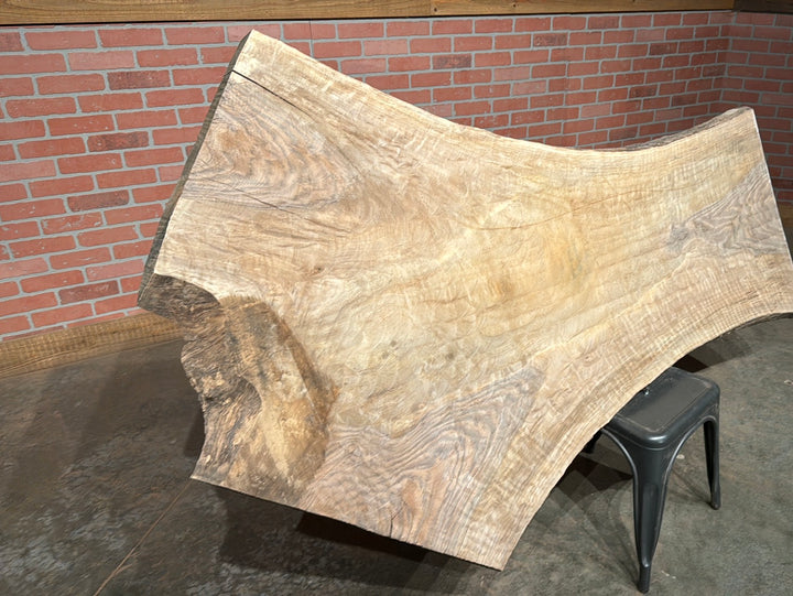 Bastogne / Paradox Black Walnut Live Edge Slab 2.125"T x 23"W to 45"W x 80"L # CY71768D