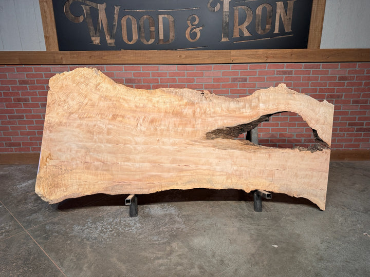 Maple Slab 2"T x 32"W to 40"W x 92"L #CR59402A