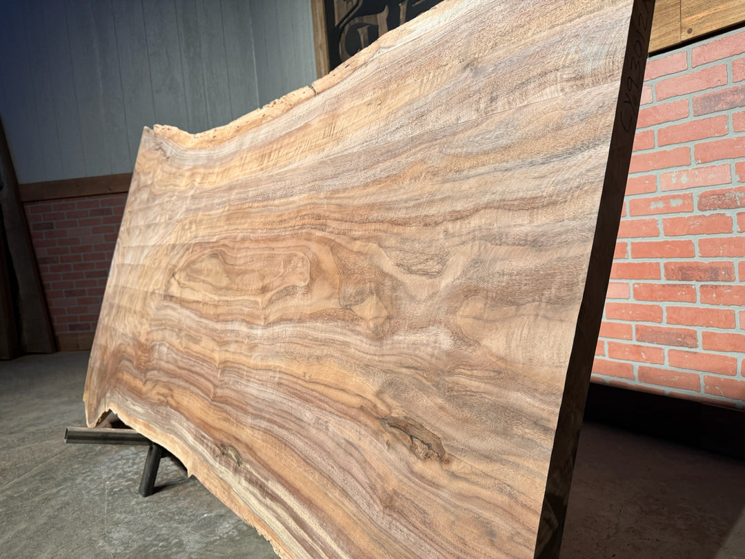 Claro Black Walnut Live Edge Slab 2 1/8"T x 35"W to 47"W x86 "L # CY93012A