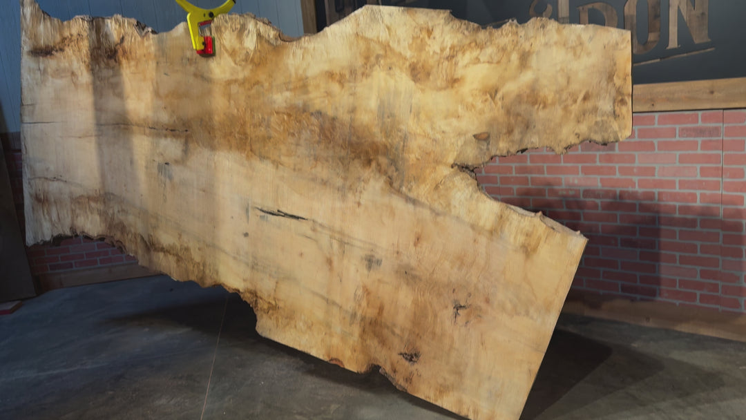 Maple Slab 3"T x 51"W to 64"W x 115"L #NU77634A